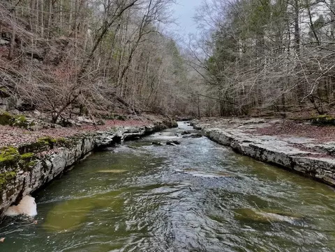 0 Hollow Creek Ln, Clarkrange, TN 38553