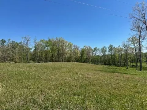 0 Pear Blossom Ln, Adamsville, TN 38310