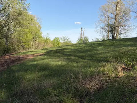 0 Dogwood Dr, Erin, TN 37061