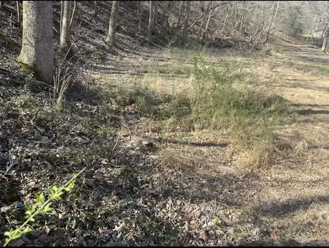1195 Blaylock Rd N, Dickson, TN 37055 photo 2