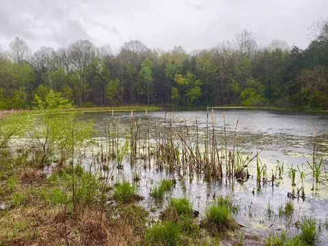 0 Hwy 64 Arnold Rd E, Wartrace, TN 37183