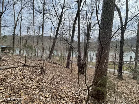 119 Laurel Lake Cir, Madisonville, TN 37354