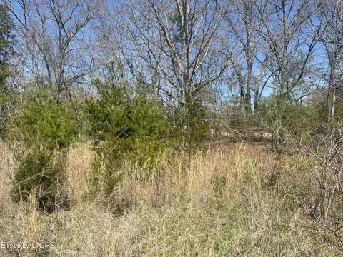 317 Mountain View Dr, Vonore, TN 37885 photo 13