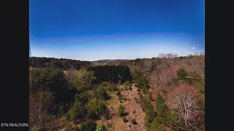 317 Mountain View Dr, Vonore, TN 37885 photo 43