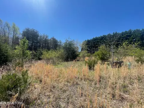 317 Mountain View Dr, Vonore, TN 37885 photo 22