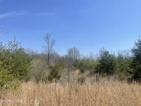 317 Mountain View Dr, Vonore, TN 37885 photo 14