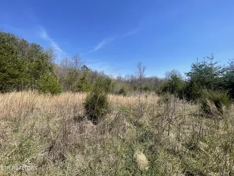 317 Mountain View Dr, Vonore, TN 37885 photo 18