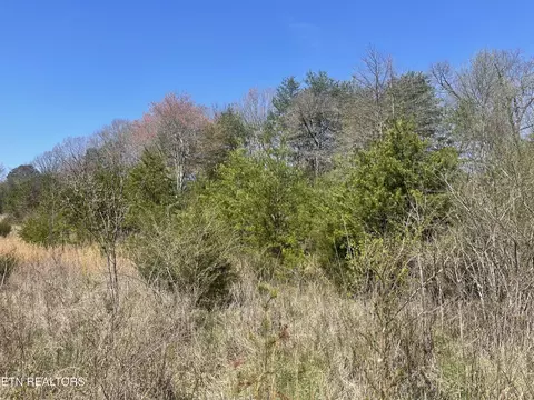 317 Mountain View Dr, Vonore, TN 37885 photo 12