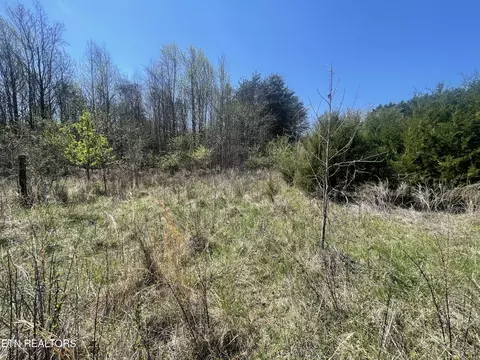 317 Mountain View Dr, Vonore, TN 37885 photo 20