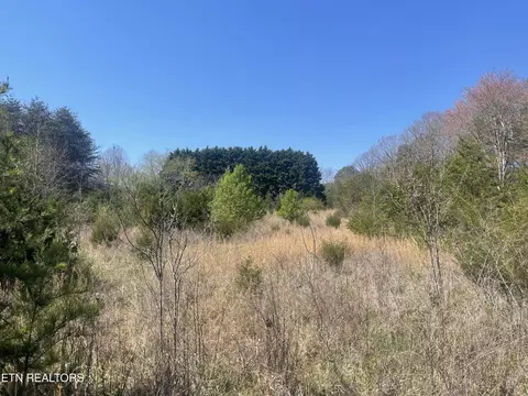 317 Mountain View Dr, Vonore, TN 37885 photo 15