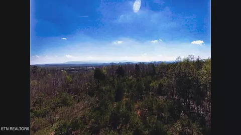 317 Mountain View Dr, Vonore, TN 37885 photo 33