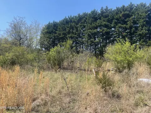 317 Mountain View Dr, Vonore, TN 37885 photo 11