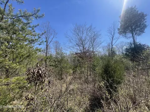 317 Mountain View Dr, Vonore, TN 37885 photo 17