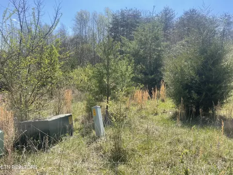 317 Mountain View Dr, Vonore, TN 37885 photo 10