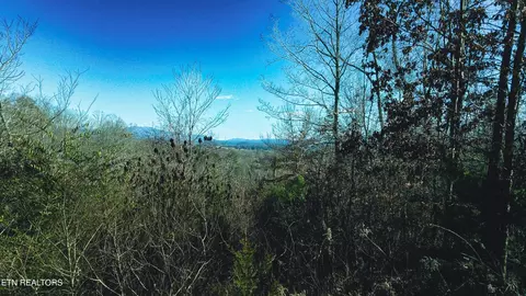 317 Mountain View Dr, Vonore, TN 37885 photo 45