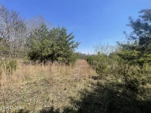 317 Mountain View Dr, Vonore, TN 37885 photo 2