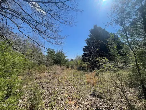 317 Mountain View Dr, Vonore, TN 37885 photo 28