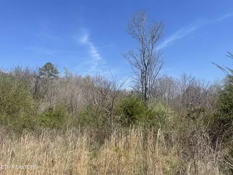 317 Mountain View Dr, Vonore, TN 37885 photo 16