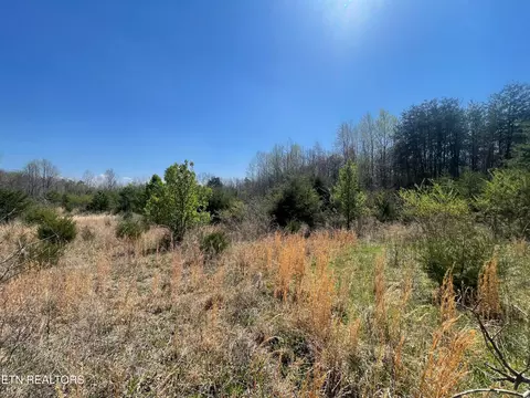 317 Mountain View Dr, Vonore, TN 37885 photo 23