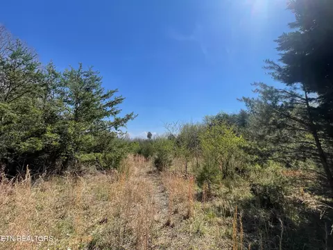 317 Mountain View Dr, Vonore, TN 37885 photo 9