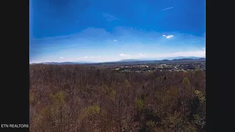 317 Mountain View Dr, Vonore, TN 37885 photo 34
