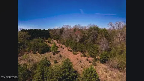 317 Mountain View Dr, Vonore, TN 37885 photo 44