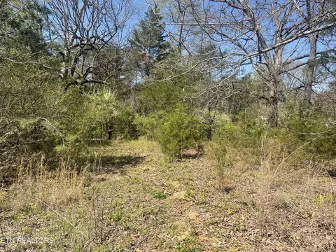317 Mountain View Dr, Vonore, TN 37885 photo 8