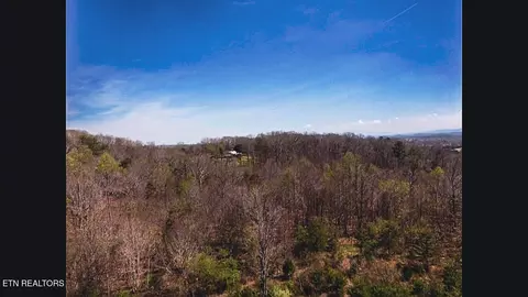 317 Mountain View Dr, Vonore, TN 37885 photo 39
