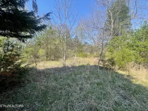 317 Mountain View Dr, Vonore, TN 37885 photo 3