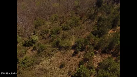 317 Mountain View Dr, Vonore, TN 37885 photo 40