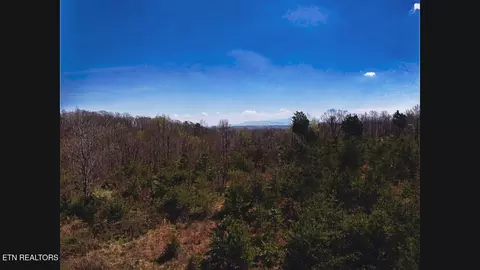 317 Mountain View Dr, Vonore, TN 37885 photo 30