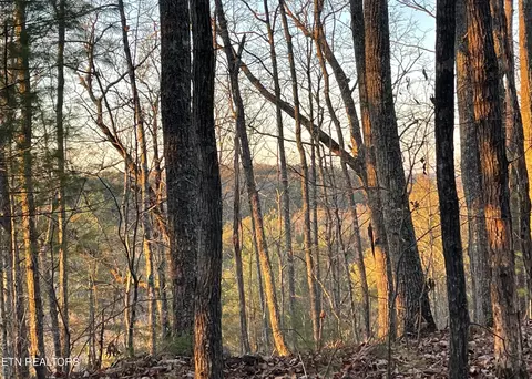 0 Gold Miners Ln, Tellico Plains, TN 37385