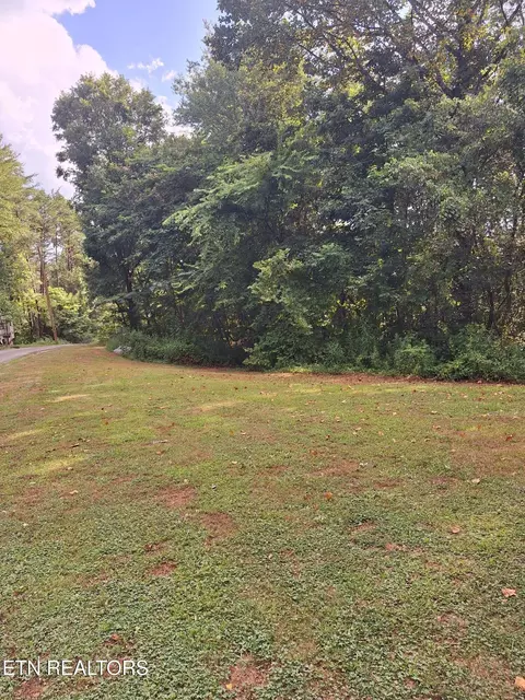 0 Mountain Rd, Tellico Plains, TN 37385
