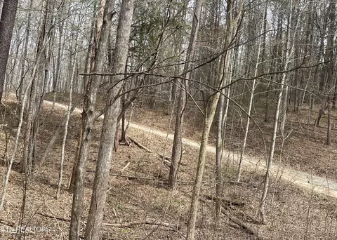 0 New Providence Rd, Tellico Plains, TN 37385