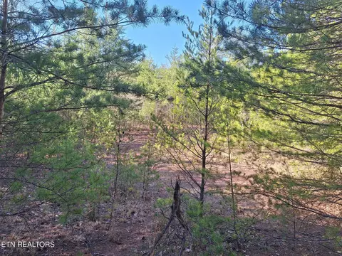 0 Tn-360, Tellico Plains, TN 37385