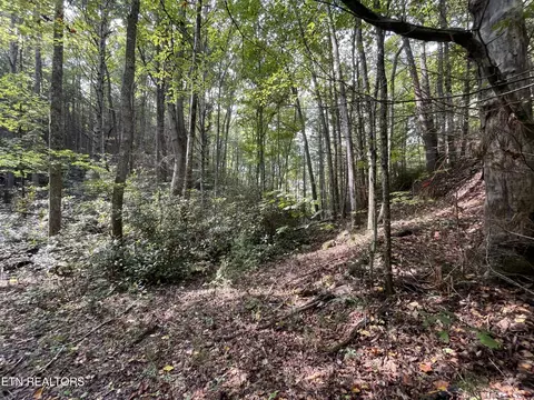 16 Steer Creek Rd, Tellico Plains, TN 37385