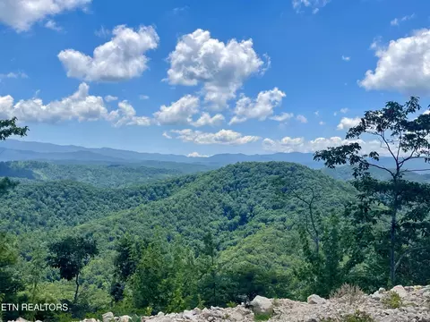 33 Bullet Mountain Rd, Tellico Plains, TN 37385