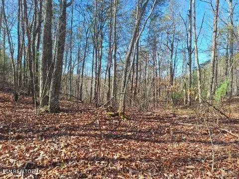 0 Cooper Rd, Vonore, TN 37885