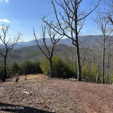 200 Mclemore Rd, Tellico Plains, TN 37385