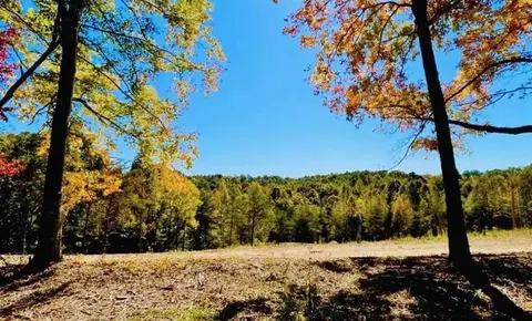 0 State Park Rd, Burkesville, KY 42717