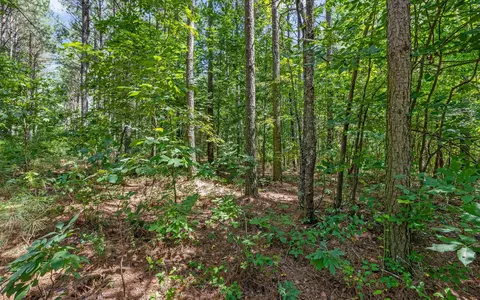 2225 High Ground Rd, Guild, TN 37340 photo 16