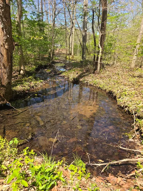 4149 Hwy 49, Tennessee Ridge, TN 37178