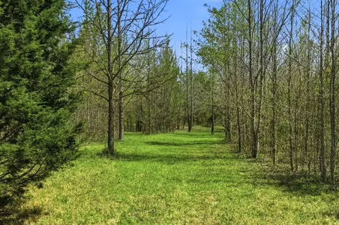Other - 8270 Bethlehem Rd, Springfield, TN 37172 photo 9 of 9