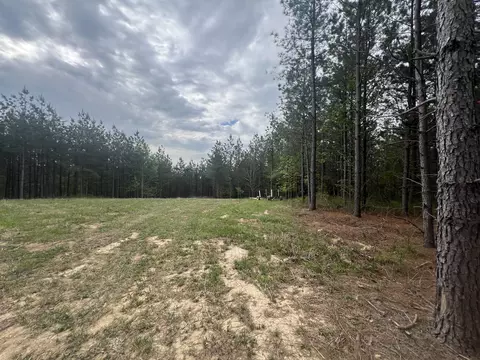 36 Pafford Ln, Erin, TN 37061