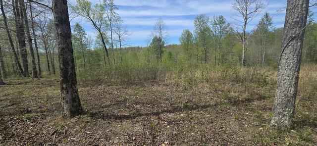 360 James Zimmerman Rd, Hampshire, TN 38461