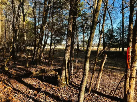 5 Charles Rd, Decatur, TN 37322