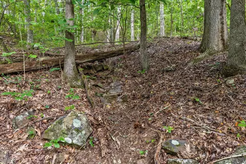 2255 Nickajack Rd, Flintstone, GA 30725 photo 9