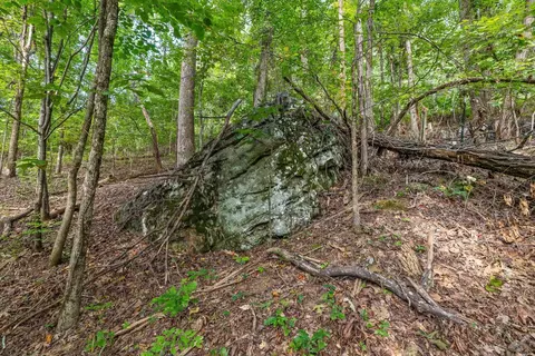 2255 Nickajack Rd, Flintstone, GA 30725 photo 12