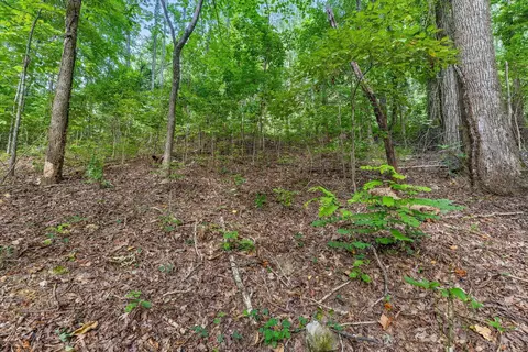 2255 Nickajack Rd, Flintstone, GA 30725 photo 16