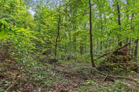 2255 Nickajack Rd, Flintstone, GA 30725 photo 8